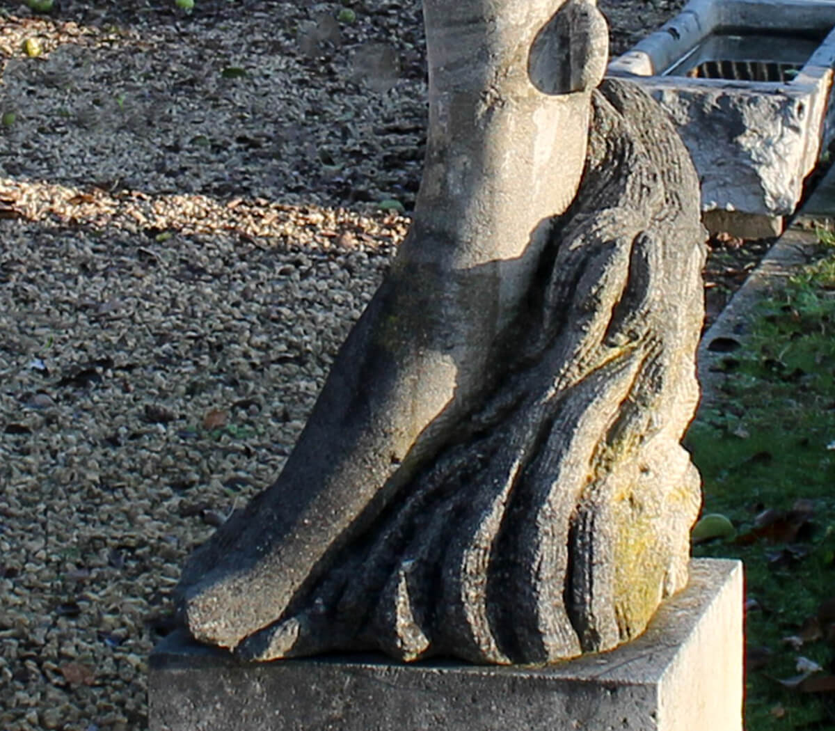 Stenen-dolfijn